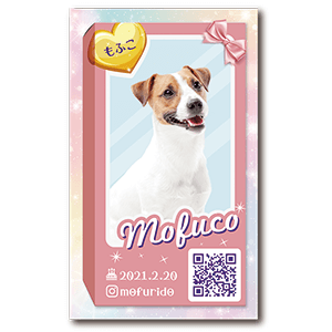 ドールパッケージデザインの長方形ペット名刺