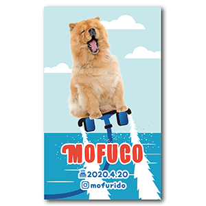 フライボードデザインの長方形ペット名刺