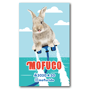 フライボードデザインの長方形ペット名刺