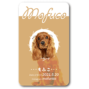ワントーン丸枠デザインの長方形ペット名刺