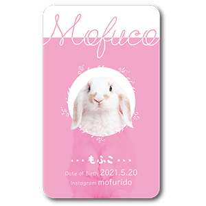 ワントーン丸枠デザインの長方形ペット名刺