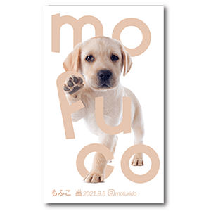 名前と写真デザインの長方形ペット名刺