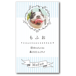 シンプルストライプ背景の長方形ペット名刺