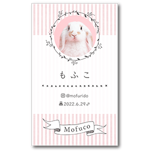 シンプルストライプ背景の長方形ペット名刺