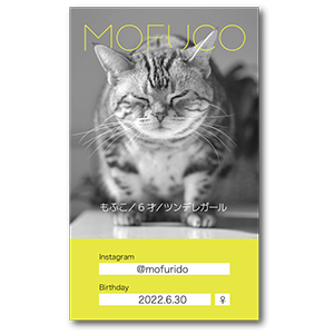 モノクロ写真とアクセントカラーの長方形ペット名刺