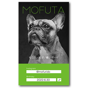 モノクロ写真とアクセントカラーの長方形ペット名刺