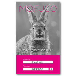 モノクロ写真とアクセントカラーの長方形ペット名刺