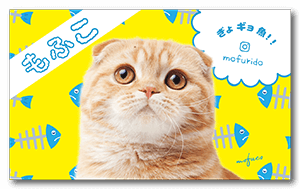 ポップなお魚背景の猫のペット名刺