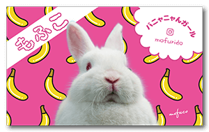 ポップなバナナ背景の兎のペット名刺