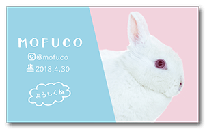 2色背景のシンプルな兎のペット名刺