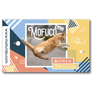 躍動感を活かせる猫のペット名刺