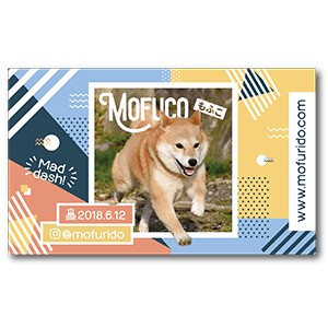 躍動感を活かせる犬のペット名刺