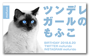 瞳以外モノトーンな猫のペット名刺