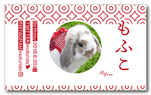 和柄でモダンな兎のペット名刺