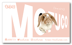 文字の隙間からひょっこり覗く兎のペット名刺