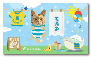 お洗濯デザインの猫のペット名刺