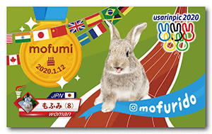 オリンピックデザインの兎のペット名刺