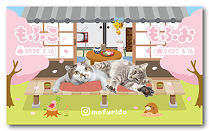 春の縁側デザインの横型多頭飼い特化版ペット名刺