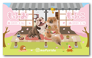 春の縁側デザインの横型多頭飼い特化版ペット名刺