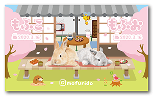 春の縁側デザインの横型多頭飼い特化版ペット名刺