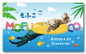 海水浴デザインの猫の長方形ペット名刺