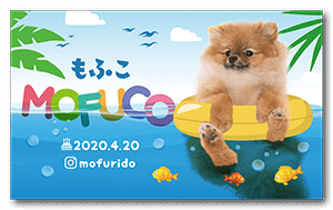 海水浴デザインの犬の長方形ペット名刺