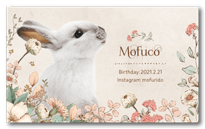 クラシカルなボタニカルデザインのうさぎの長方形ペット名刺
