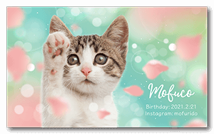 春のキラキラ花びらデザインの猫の長方形ペット名刺