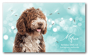 春のキラキラ花びらの犬の長方形ペット名刺