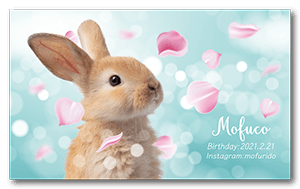 春のキラキラ花びらデザインのうさぎの長方形ペット名刺