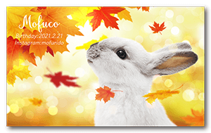 秋のキラキラ紅葉デザインのうさぎの長方形ペット名刺