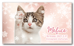 冬のキラキラ雪見デザインのペット名刺