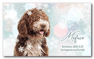 冬のキラキラ雪見デザインのペット名刺