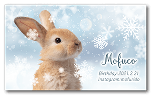 冬のキラキラ雪見デザインのペット名刺