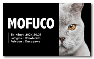 シンプルどアップデザインのペット名刺