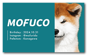 シンプルどアップデザインのペット名刺