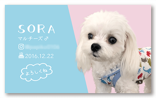 長方形ペット名刺画像