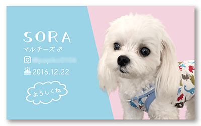 犬のペット名刺