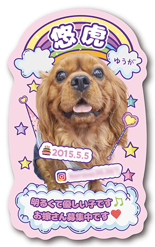 型抜きペット名刺の表面画像