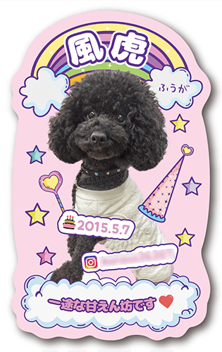 型抜きペット名刺の裏面画像