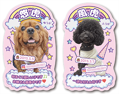 犬のペット名刺