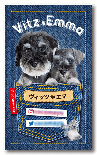 型抜きペット名刺の表面画像