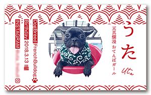 犬のペット名刺