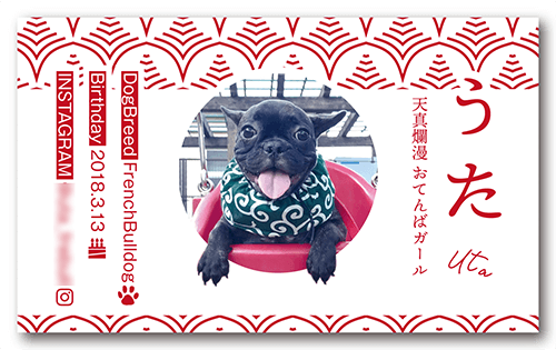 長方形ペット名刺画像