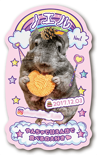 型抜きペット名刺の表面画像