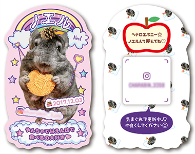 チンチラのペット名刺