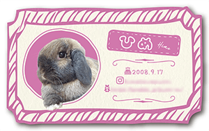 うさぎのペット名刺
