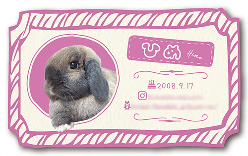 型抜きペット名刺画像