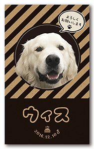 犬のペット名刺