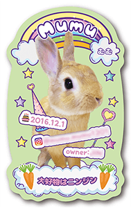 うさぎのペット名刺